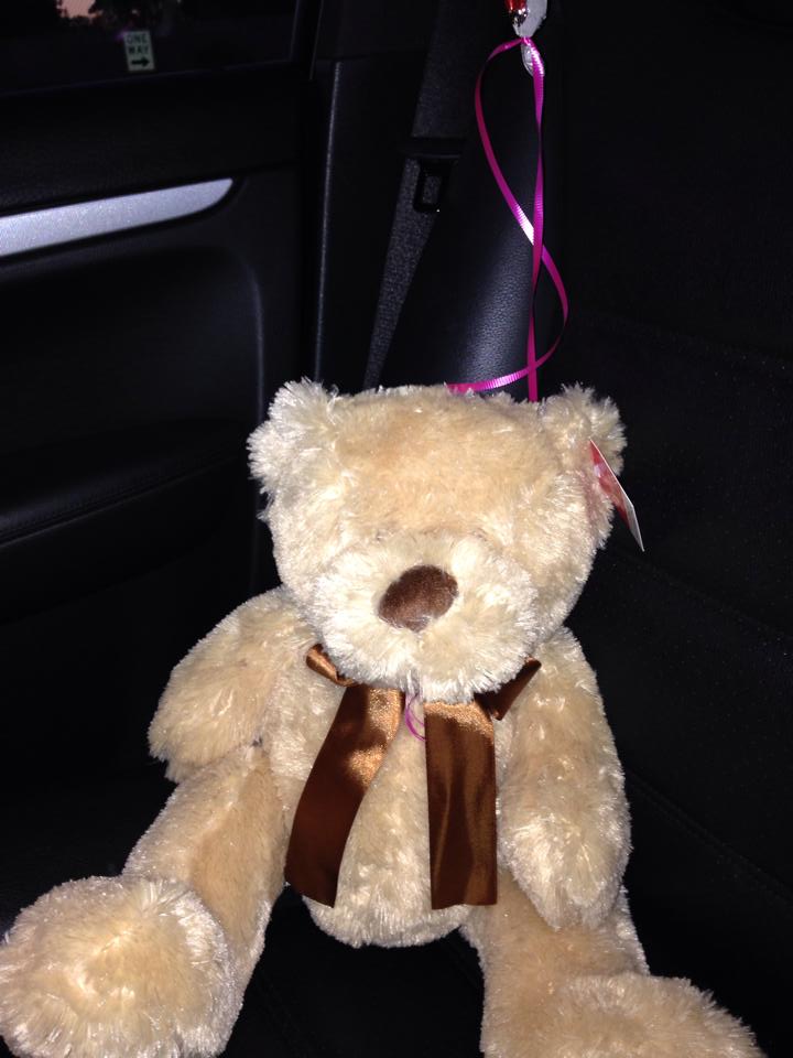 teddy bear valentines 2014
